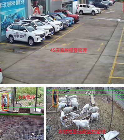 無電無網(wǎng)少人煙的野外，還想裝監(jiān)控系統(tǒng)？這不是空想