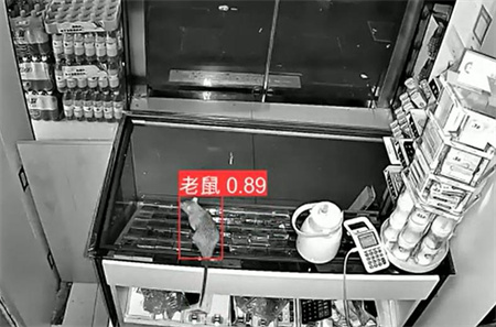 AI視頻監(jiān)控能拍到老鼠？老鼠監(jiān)控算法說(shuō)可以