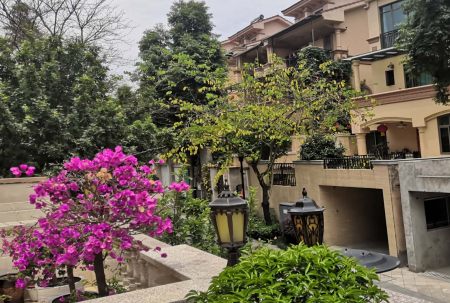 小區(qū)屢被&ldquo;光顧&rdquo;，居家安全小區(qū)安防請多加重視