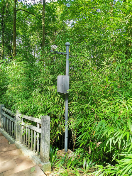 安防監(jiān)控系統(tǒng)工程中的AI智能算法，可實現(xiàn)包括：人形識別、火焰識別、車輛識別、行為識別等一系列的AI智能識別算法